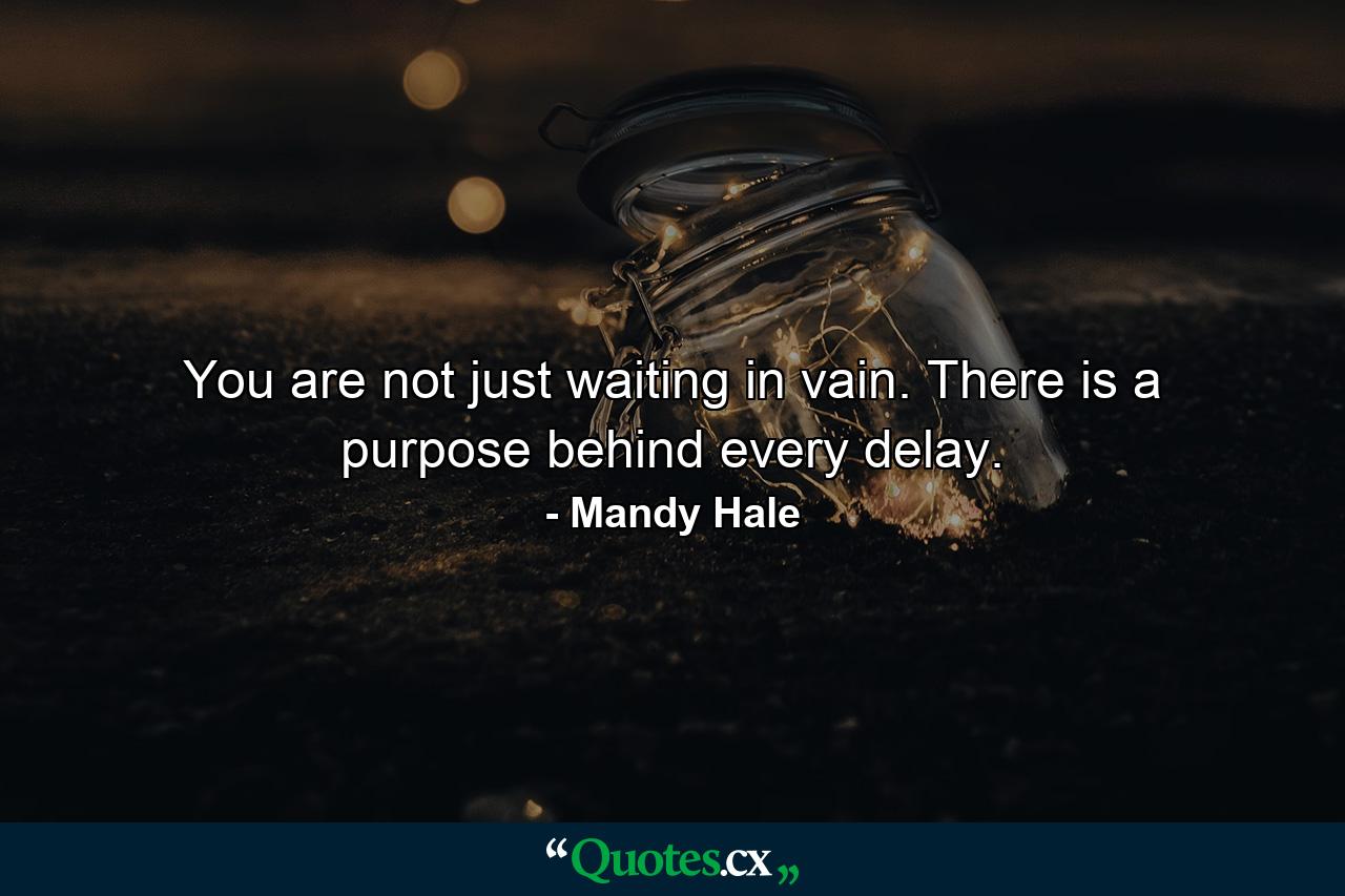 You are not just waiting in vain. There is a purpose behind every delay. - Quote by Mandy Hale