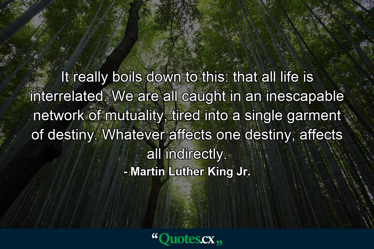 It really boils down to this: that all life is interrelated. We are all caught in an inescapable network of mutuality, tired into a single garment of destiny. Whatever affects one destiny, affects all indirectly. - Quote by Martin Luther King Jr.