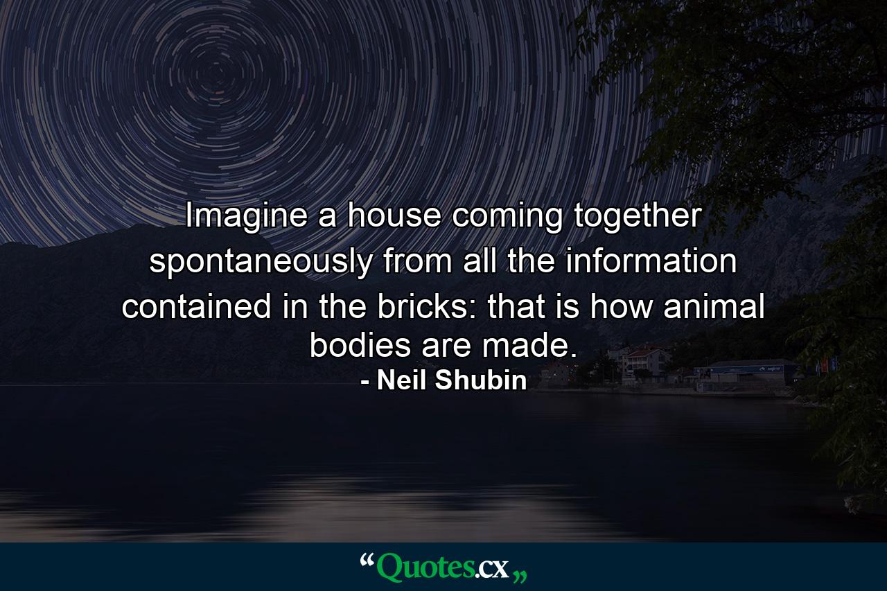 Imagine a house coming together spontaneously from all the information contained in the bricks: that is how animal bodies are made. - Quote by Neil Shubin