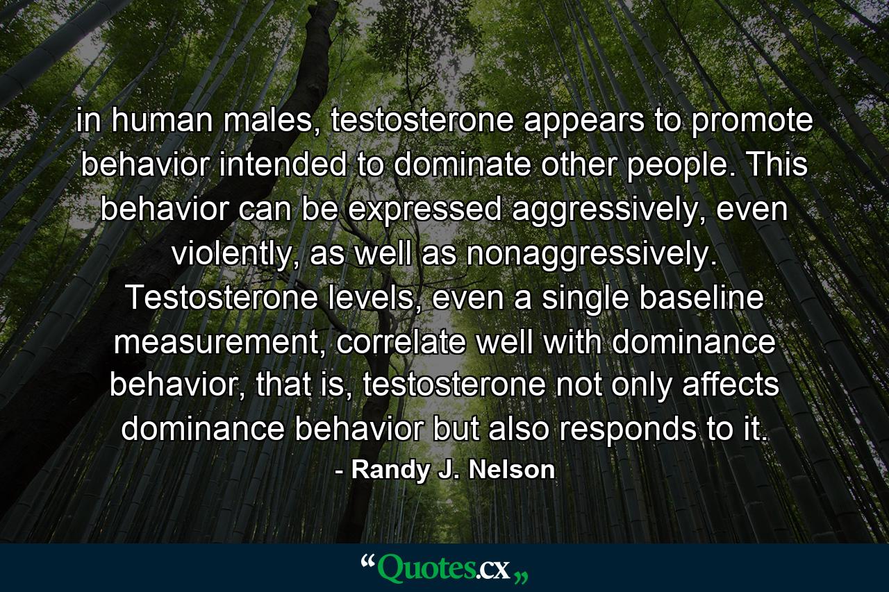 in human males, testosterone appears to promote behavior intended to dominate other people. This behavior can be expressed aggressively, even violently, as well as nonaggressively. Testosterone levels, even a single baseline measurement, correlate well with dominance behavior, that is, testosterone not only affects dominance behavior but also responds to it. - Quote by Randy J. Nelson