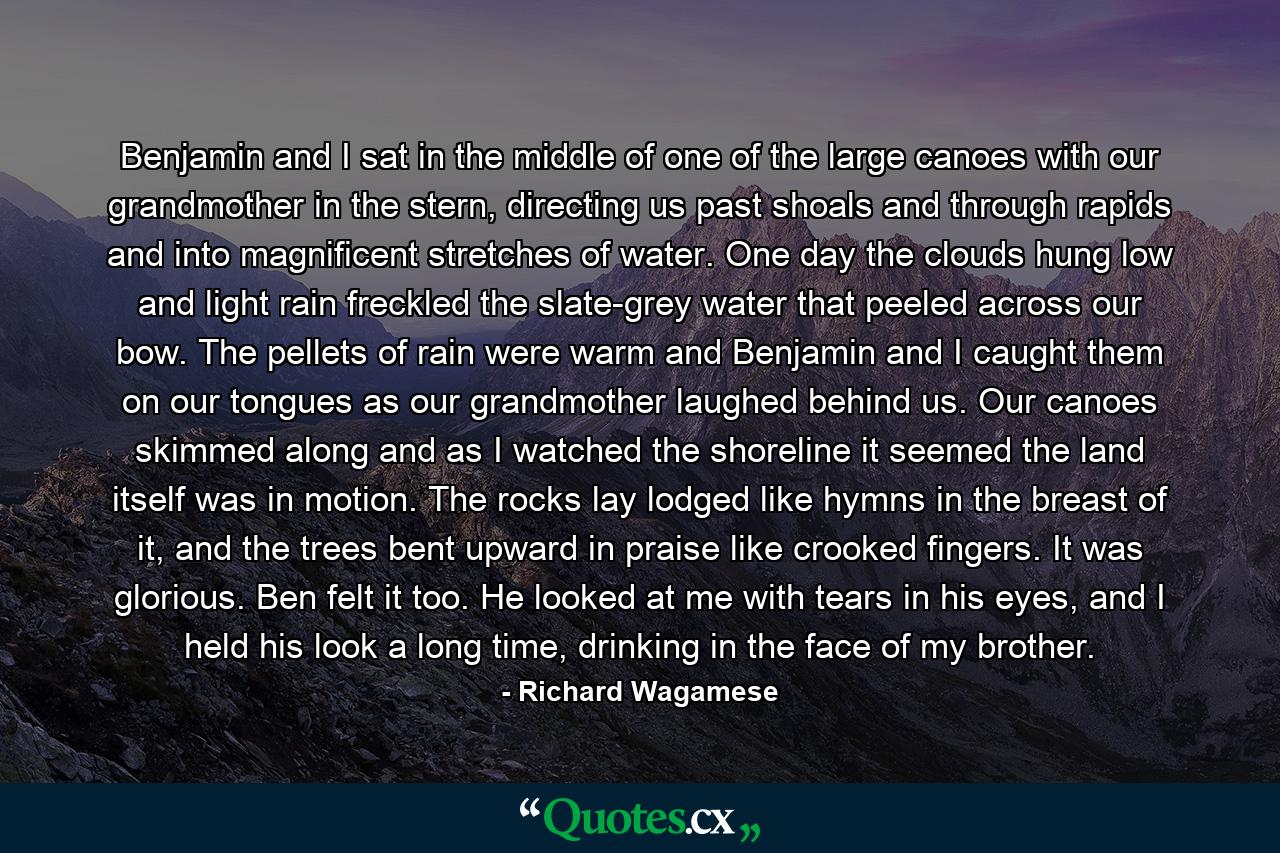 Benjamin and I sat in the middle of one of the large canoes with our grandmother in the stern, directing us past shoals and through rapids and into magnificent stretches of water. One day the clouds hung low and light rain freckled the slate-grey water that peeled across our bow. The pellets of rain were warm and Benjamin and I caught them on our tongues as our grandmother laughed behind us. Our canoes skimmed along and as I watched the shoreline it seemed the land itself was in motion. The rocks lay lodged like hymns in the breast of it, and the trees bent upward in praise like crooked fingers. It was glorious. Ben felt it too. He looked at me with tears in his eyes, and I held his look a long time, drinking in the face of my brother. - Quote by Richard Wagamese