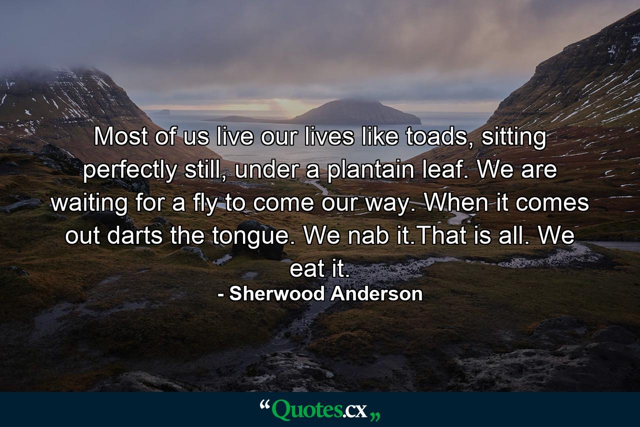 Most of us live our lives like toads, sitting perfectly still, under a plantain leaf. We are waiting for a fly to come our way. When it comes out darts the tongue. We nab it.That is all. We eat it. - Quote by Sherwood Anderson