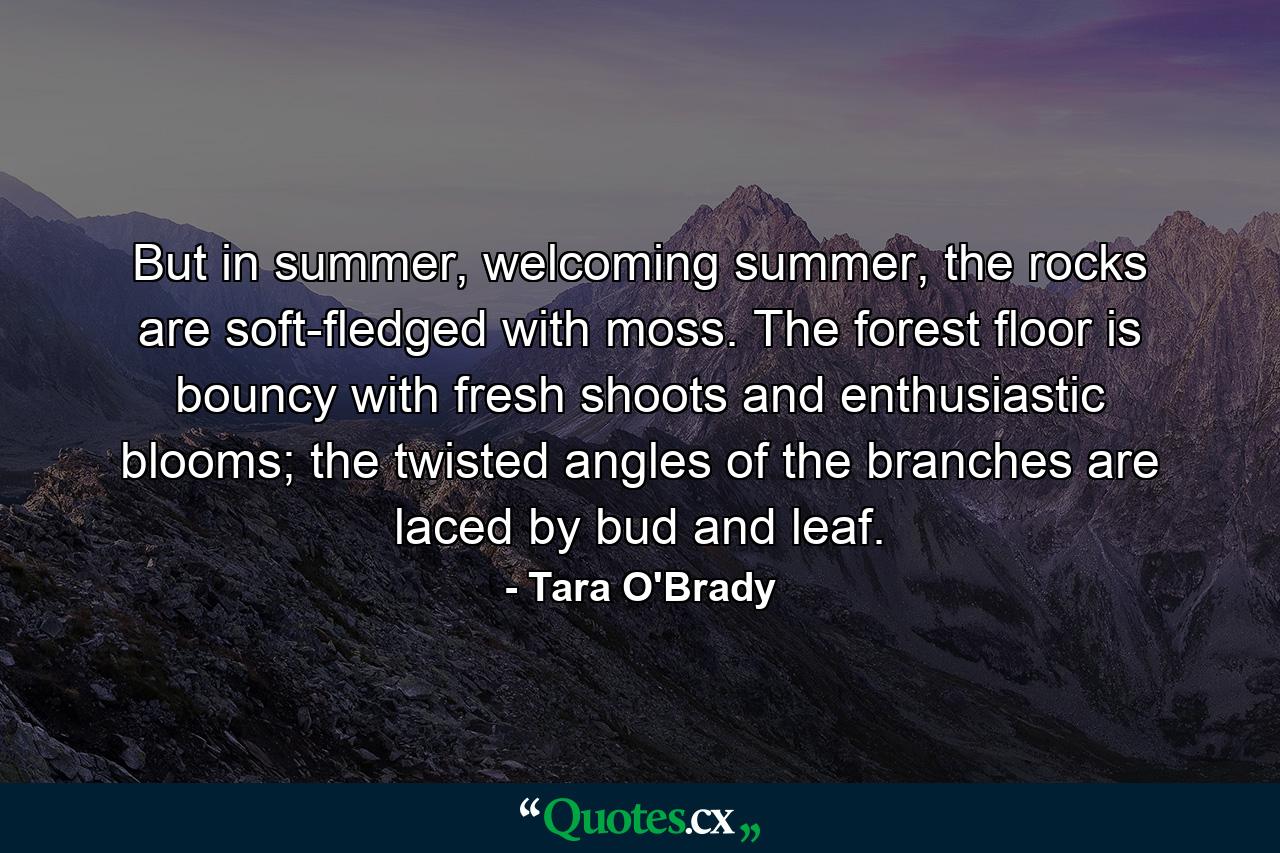 But in summer, welcoming summer, the rocks are soft-fledged with moss. The forest floor is bouncy with fresh shoots and enthusiastic blooms; the twisted angles of the branches are laced by bud and leaf. - Quote by Tara O'Brady