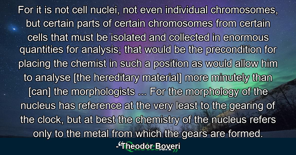 For it is not cell nuclei, not even individual chromosomes, but certain parts of certain chromosomes from certain cells that must be isolated and collected in enormous quantities for analysis; that would be the precondition for placing the chemist in such a position as would allow him to analyse [the hereditary material] more minutely than [can] the morphologists ... For the morphology of the nucleus has reference at the very least to the gearing of the clock, but at best the chemistry of the nucleus refers only to the metal from which the gears are formed. - Quote by Theodor Boveri