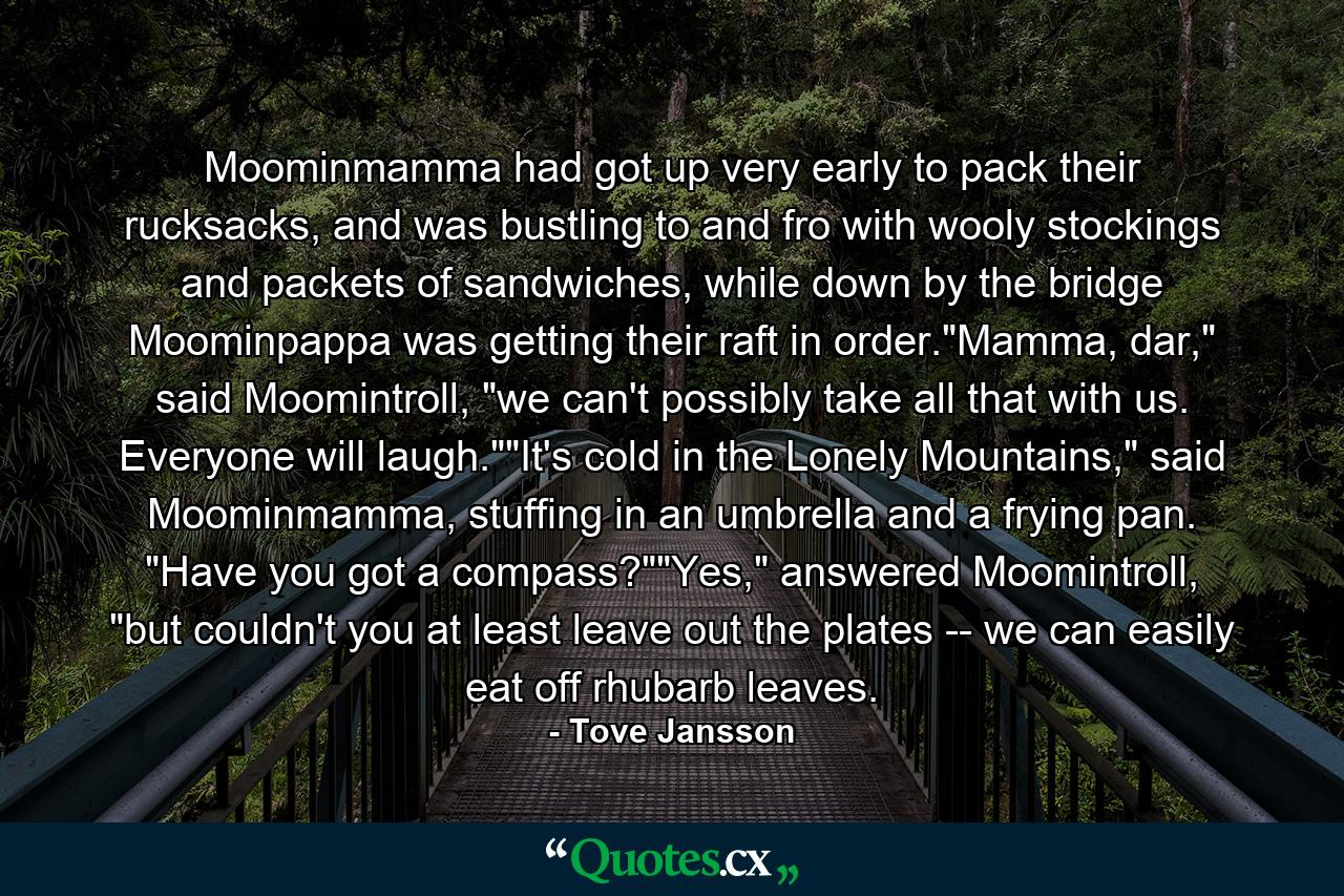 Moominmamma had got up very early to pack their rucksacks, and was bustling to and fro with wooly stockings and packets of sandwiches, while down by the bridge Moominpappa was getting their raft in order.