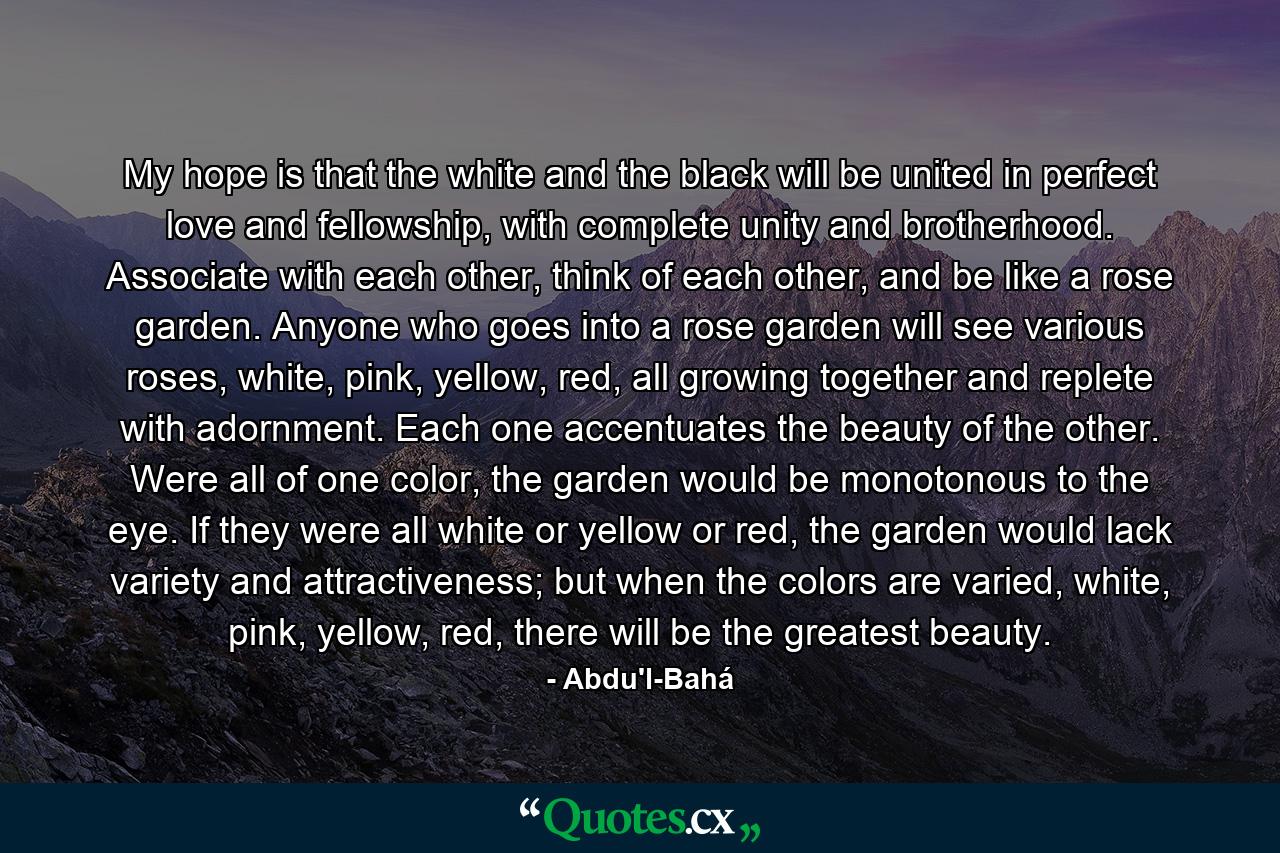 My hope is that the white and the black will be united in perfect love and fellowship, with complete unity and brotherhood. Associate with each other, think of each other, and be like a rose garden. Anyone who goes into a rose garden will see various roses, white, pink, yellow, red, all growing together and replete with adornment. Each one accentuates the beauty of the other. Were all of one color, the garden would be monotonous to the eye. If they were all white or yellow or red, the garden would lack variety and attractiveness; but when the colors are varied, white, pink, yellow, red, there will be the greatest beauty. - Quote by Abdu'l-Bahá