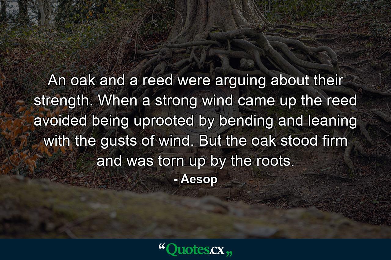 An oak and a reed were arguing about their strength. When a strong wind came up  the reed avoided being uprooted by bending and leaning with the gusts of wind. But the oak stood firm and was torn up by the roots. - Quote by Aesop