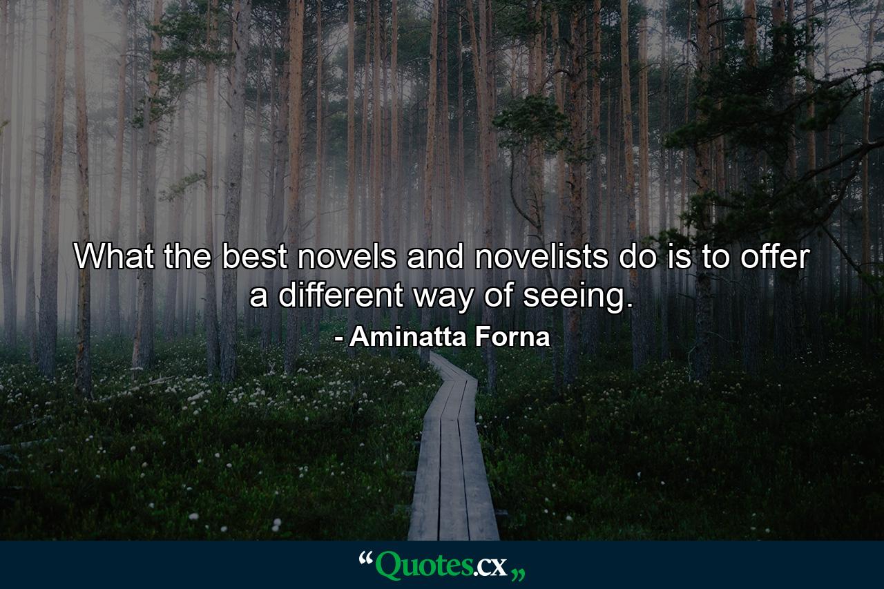 What the best novels and novelists do is to offer a different way of seeing. - Quote by Aminatta Forna