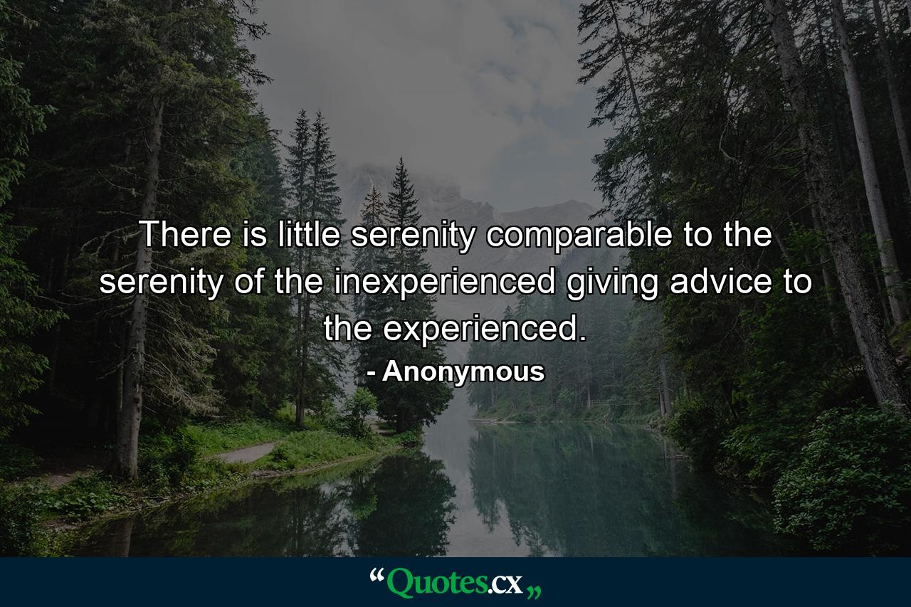 There is little serenity comparable to the serenity of the inexperienced giving advice to the experienced. - Quote by Anonymous