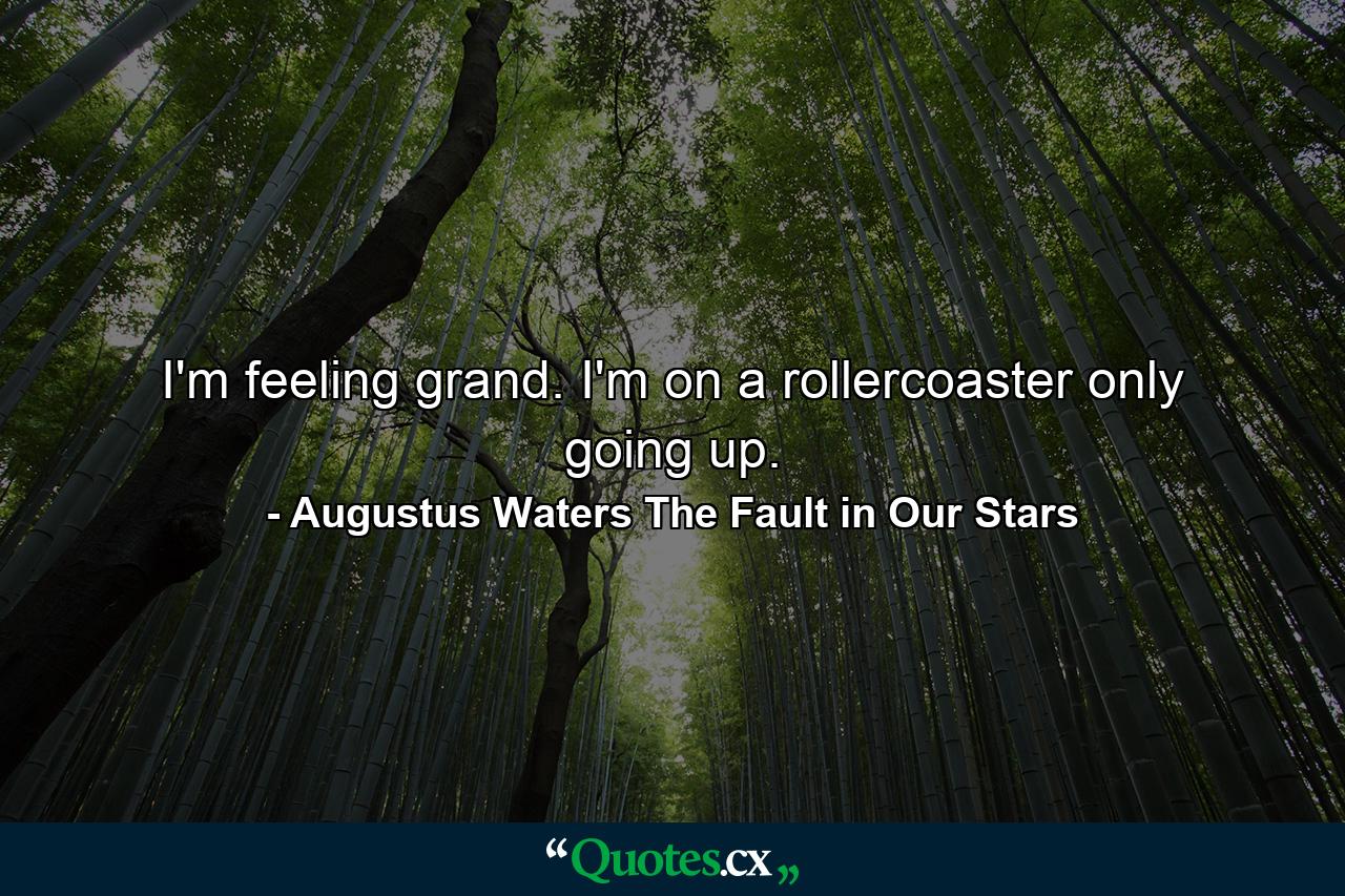 I'm feeling grand. I'm on a rollercoaster only going up. - Quote by Augustus Waters The Fault in Our Stars