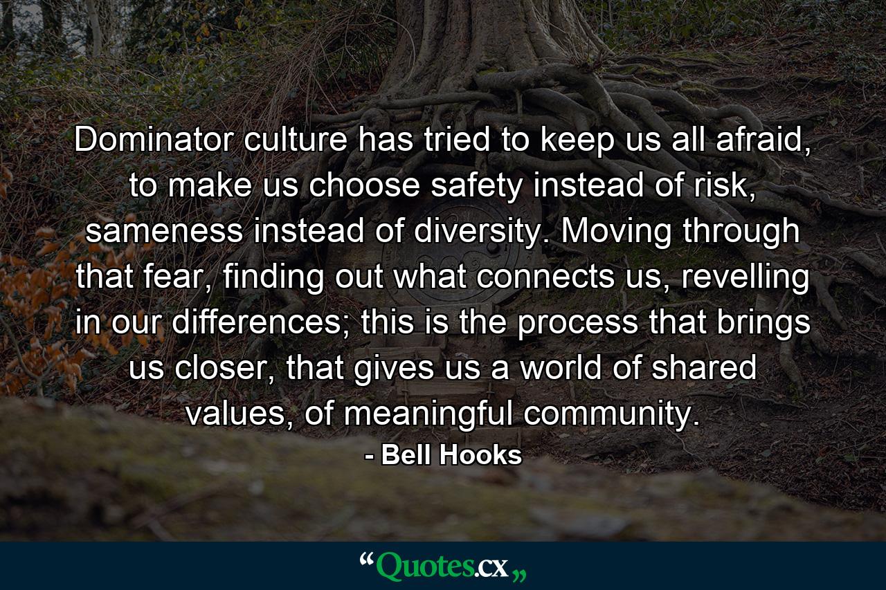 Dominator culture has tried to keep us all afraid, to make us choose safety instead of risk, sameness instead of diversity. Moving through that fear, finding out what connects us, revelling in our differences; this is the process that brings us closer, that gives us a world of shared values, of meaningful community. - Quote by Bell Hooks