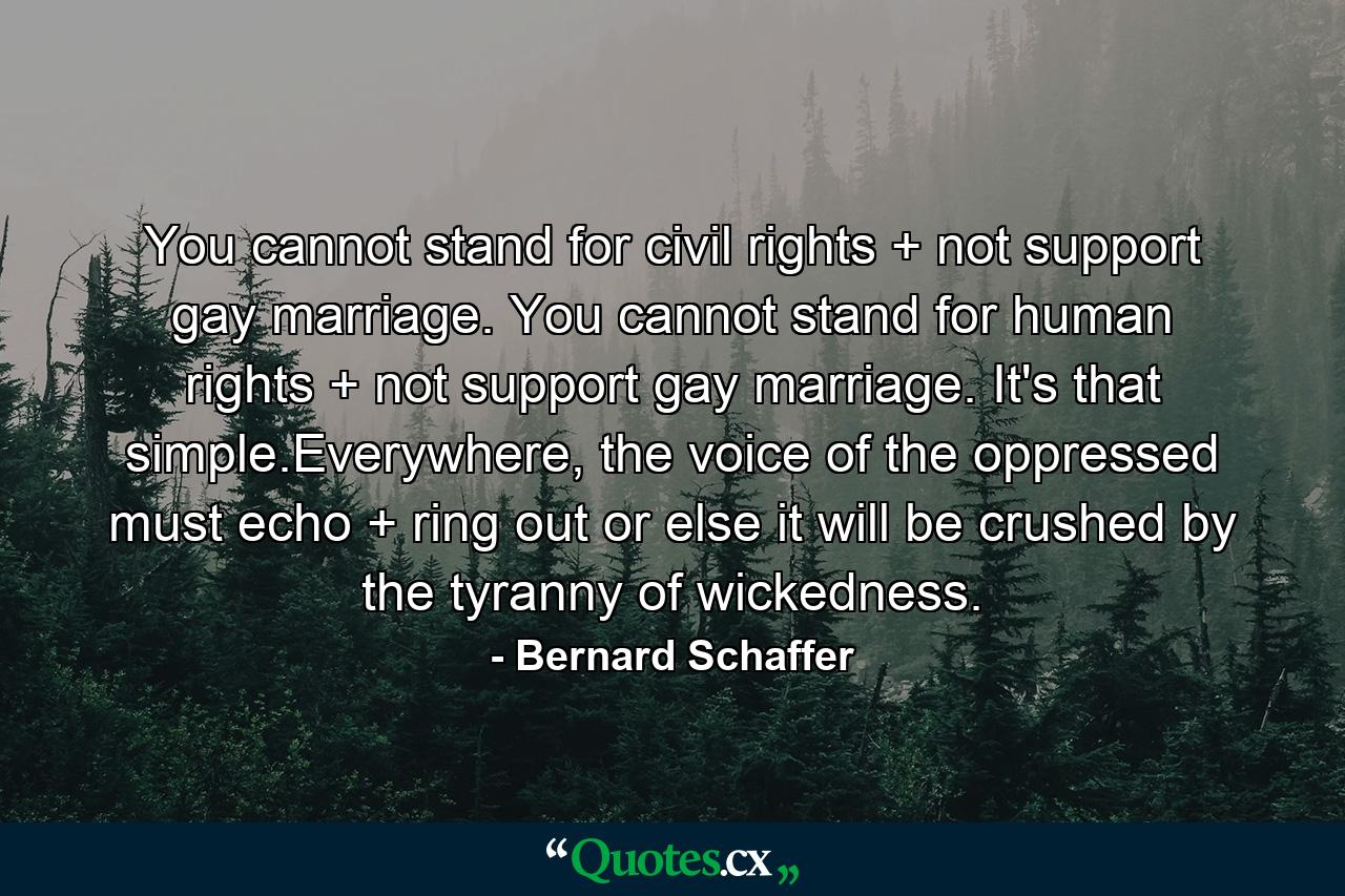 You cannot stand for civil rights + not support gay marriage. You cannot stand for human rights + not support gay marriage. It's that simple.Everywhere, the voice of the oppressed must echo + ring out or else it will be crushed by the tyranny of wickedness. - Quote by Bernard Schaffer