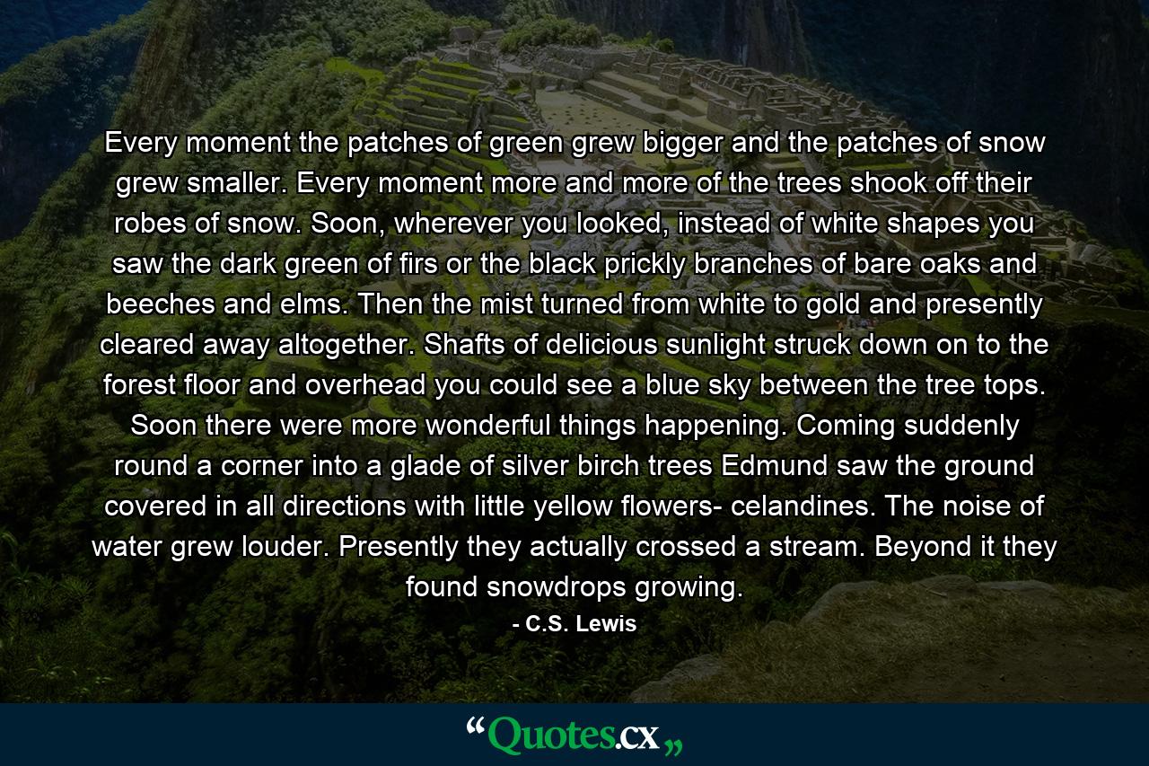 Every moment the patches of green grew bigger and the patches of snow grew smaller. Every moment more and more of the trees shook off their robes of snow. Soon, wherever you looked, instead of white shapes you saw the dark green of firs or the black prickly branches of bare oaks and beeches and elms. Then the mist turned from white to gold and presently cleared away altogether. Shafts of delicious sunlight struck down on to the forest floor and overhead you could see a blue sky between the tree tops. Soon there were more wonderful things happening. Coming suddenly round a corner into a glade of silver birch trees Edmund saw the ground covered in all directions with little yellow flowers- celandines. The noise of water grew louder. Presently they actually crossed a stream. Beyond it they found snowdrops growing. - Quote by C.S. Lewis