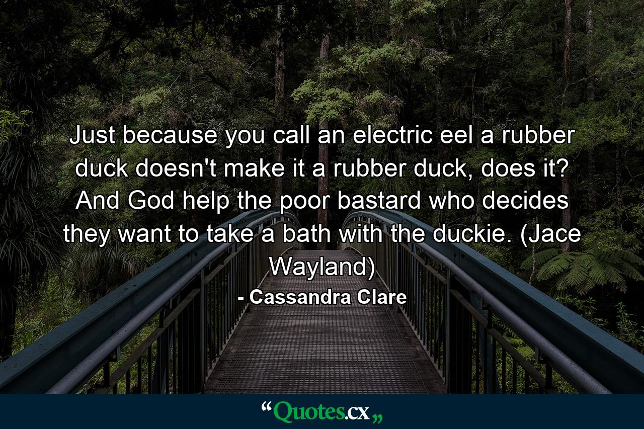 Just because you call an electric eel a rubber duck doesn't make it a rubber duck, does it? And God help the poor bastard who decides they want to take a bath with the duckie. (Jace Wayland) - Quote by Cassandra Clare