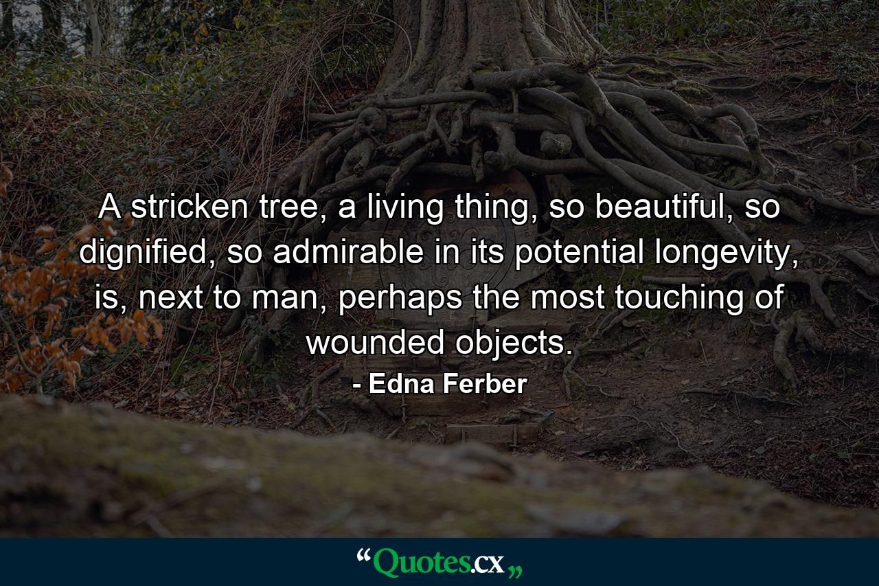 A stricken tree, a living thing, so beautiful, so dignified, so admirable in its potential longevity, is, next to man, perhaps the most touching of wounded objects. - Quote by Edna Ferber