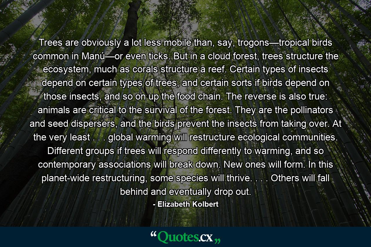 Trees are obviously a lot less mobile than, say, trogons—tropical birds common in Manú—or even ticks. But in a cloud forest, trees structure the ecosystem, much as corals structure a reef. Certain types of insects depend on certain types of trees, and certain sorts if birds depend on those insects, and so on up the food chain. The reverse is also true: animals are critical to the survival of the forest. They are the pollinators and seed dispersers, and the birds prevent the insects from taking over. At the very least . . . global warming will restructure ecological communities. Different groups if trees will respond differently to warming, and so contemporary associations will break down. New ones will form. In this planet-wide restructuring, some species will thrive. . . . Others will fall behind and eventually drop out. - Quote by Elizabeth Kolbert