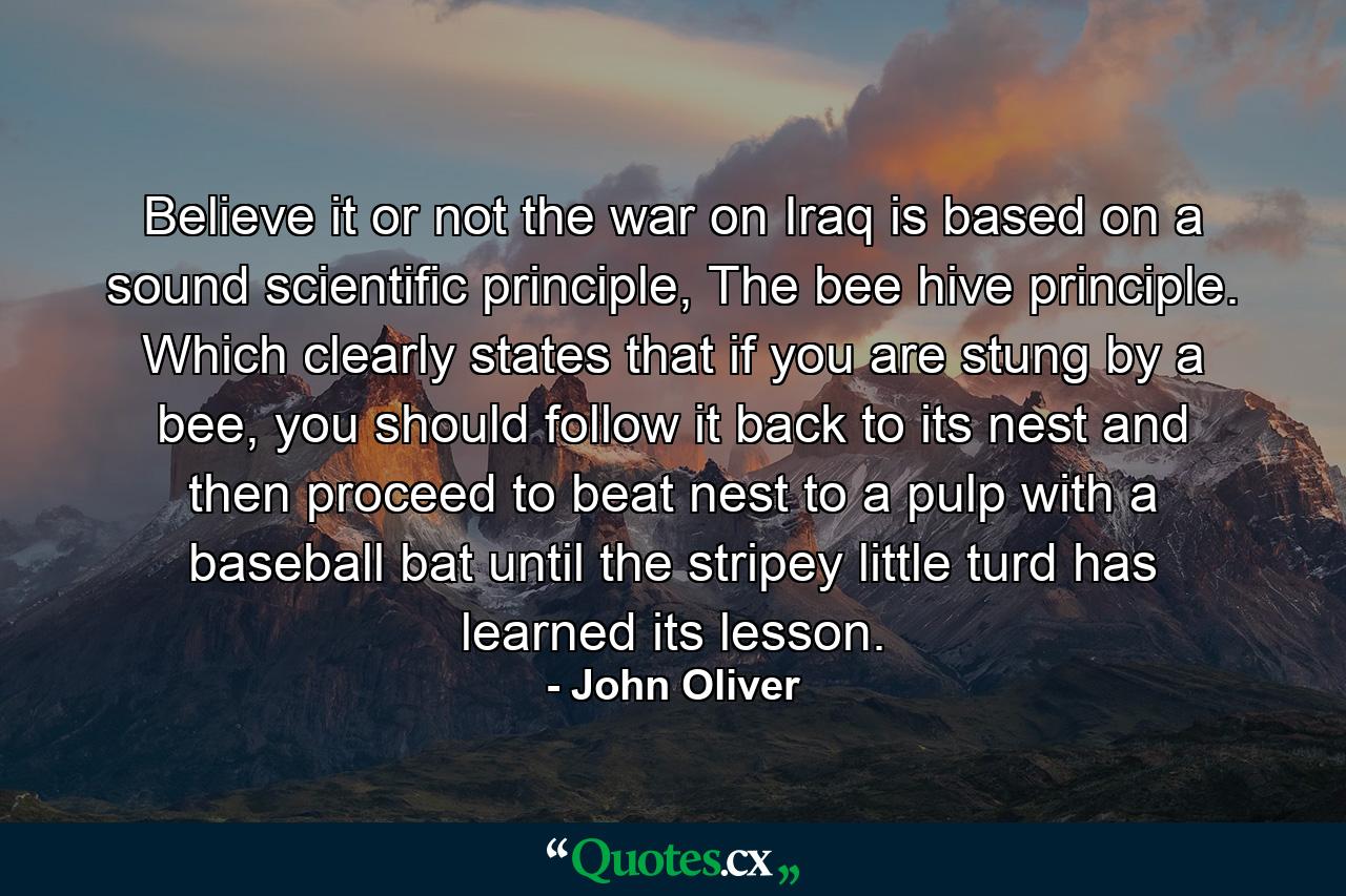 Believe it or not the war on Iraq is based on a sound scientific principle, The bee hive principle. Which clearly states that if you are stung by a bee, you should follow it back to its nest and then proceed to beat nest to a pulp with a baseball bat until the stripey little turd has learned its lesson. - Quote by John Oliver