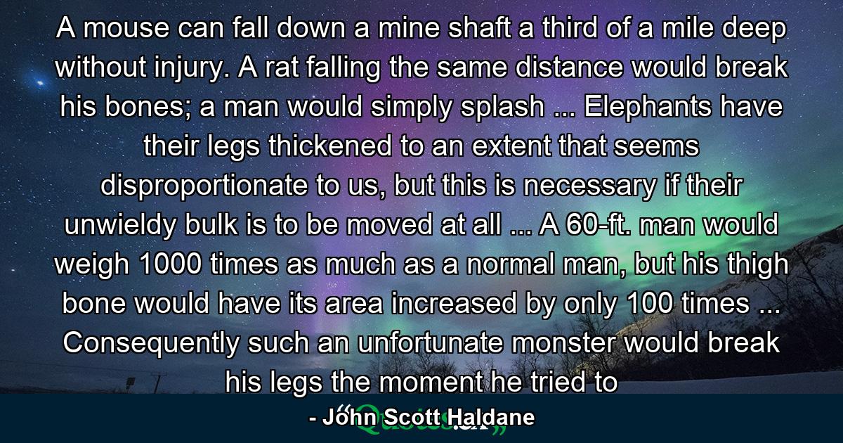 A mouse can fall down a mine shaft a third of a mile deep without injury. A rat falling the same distance would break his bones; a man would simply splash ... Elephants have their legs thickened to an extent that seems disproportionate to us, but this is necessary if their unwieldy bulk is to be moved at all ... A 60-ft. man would weigh 1000 times as much as a normal man, but his thigh bone would have its area increased by only 100 times ... Consequently such an unfortunate monster would break his legs the moment he tried to - Quote by John Scott Haldane