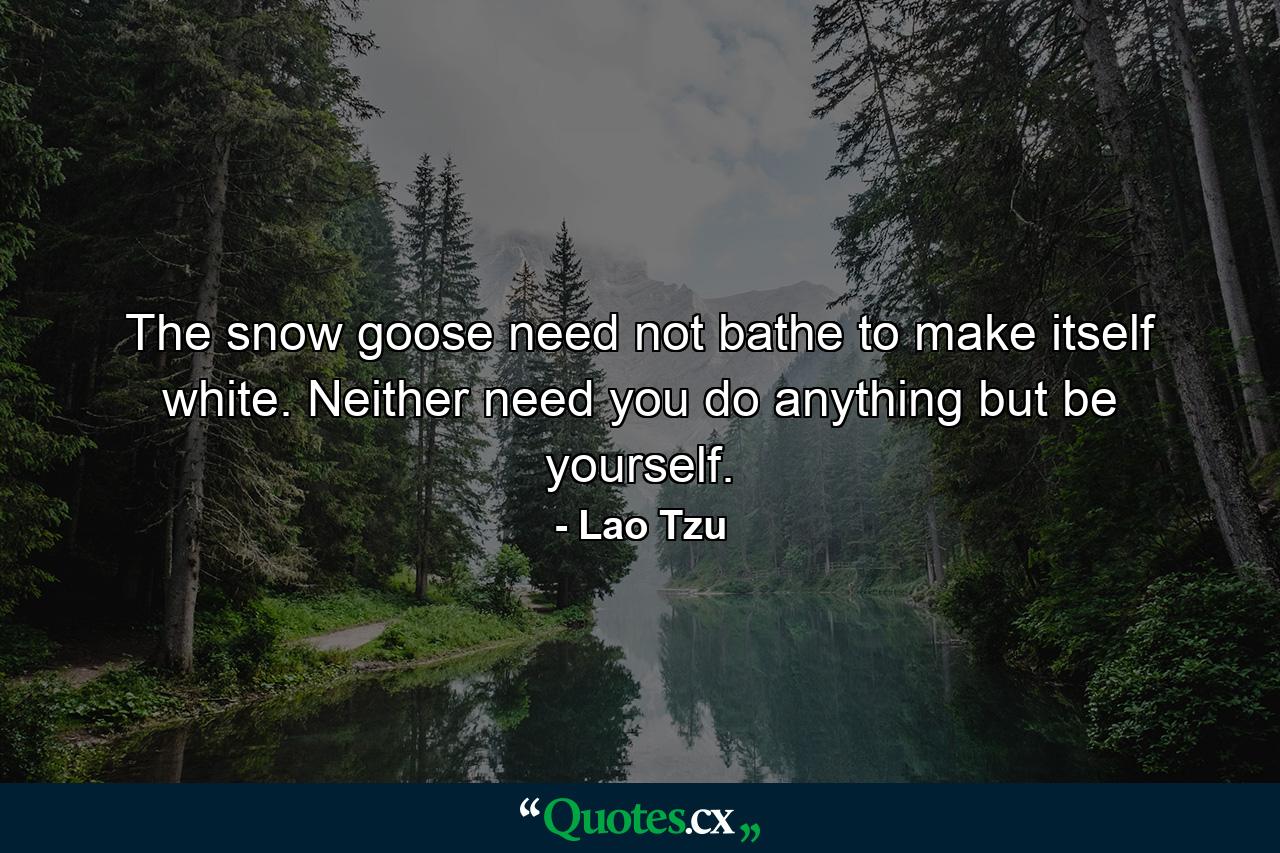 The snow goose need not bathe to make itself white. Neither need you do anything but be yourself. - Quote by Lao Tzu