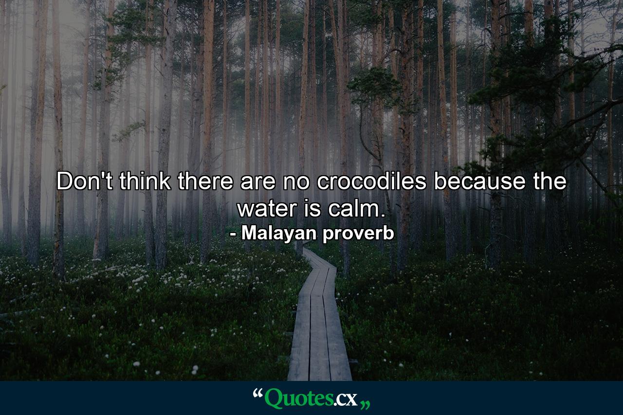 Don't think there are no crocodiles because the water is calm. - Quote by Malayan proverb