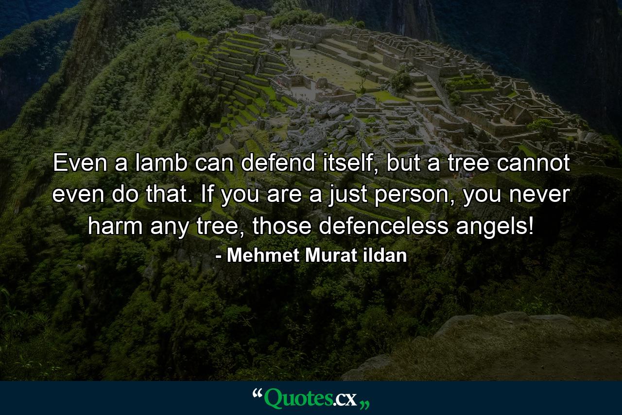 Even a lamb can defend itself, but a tree cannot even do that. If you are a just person, you never harm any tree, those defenceless angels! - Quote by Mehmet Murat ildan