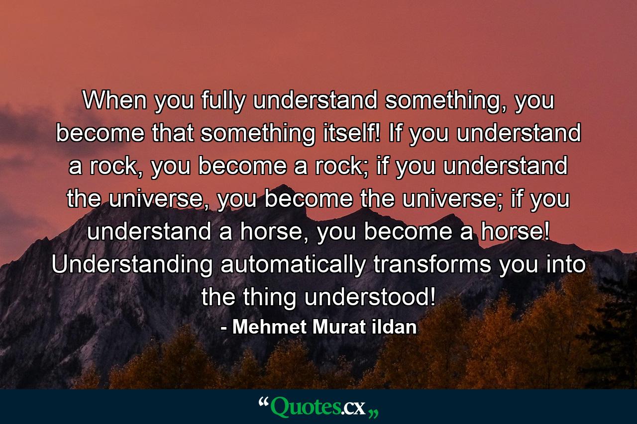 When you fully understand something, you become that something itself! If you understand a rock, you become a rock; if you understand the universe, you become the universe; if you understand a horse, you become a horse! Understanding automatically transforms you into the thing understood! - Quote by Mehmet Murat ildan