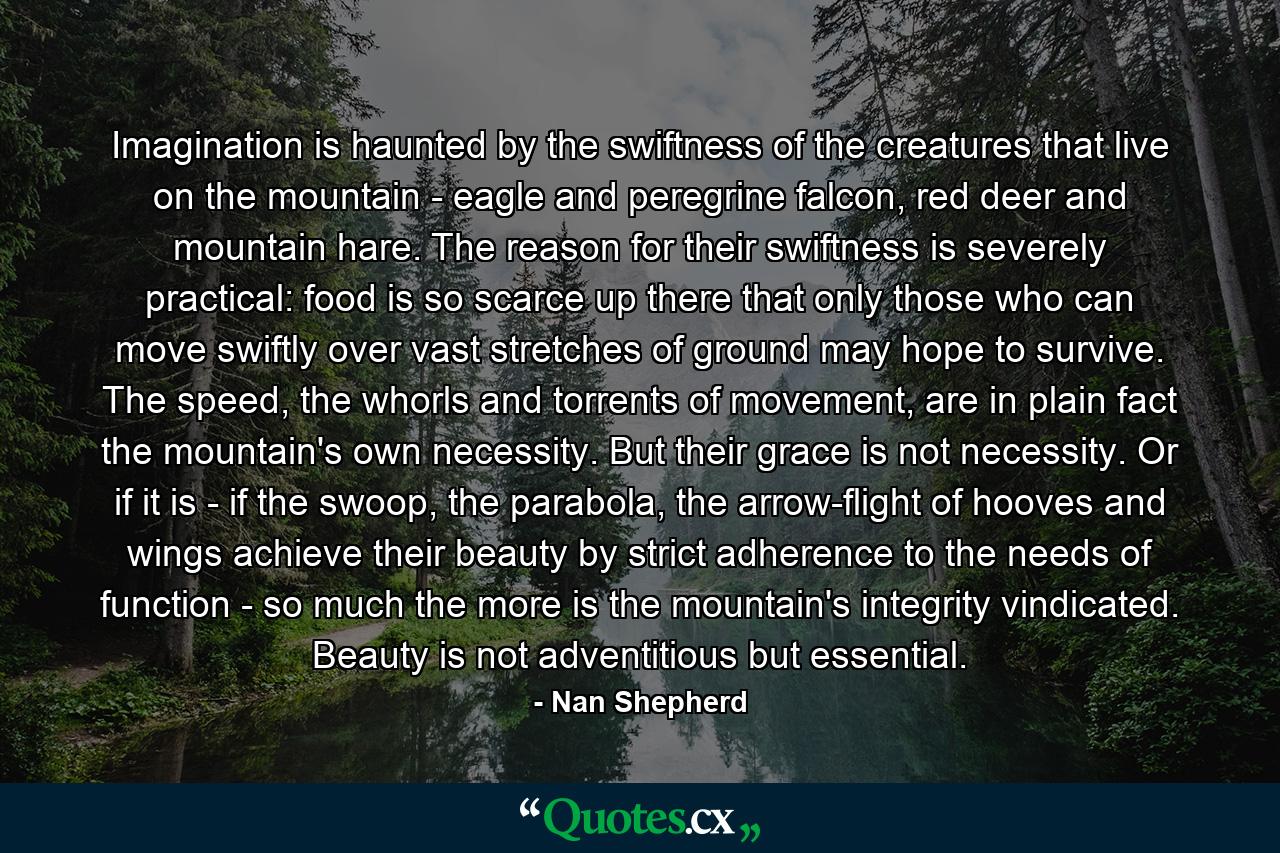 Imagination is haunted by the swiftness of the creatures that live on the mountain - eagle and peregrine falcon, red deer and mountain hare. The reason for their swiftness is severely practical: food is so scarce up there that only those who can move swiftly over vast stretches of ground may hope to survive. The speed, the whorls and torrents of movement, are in plain fact the mountain's own necessity. But their grace is not necessity. Or if it is - if the swoop, the parabola, the arrow-flight of hooves and wings achieve their beauty by strict adherence to the needs of function - so much the more is the mountain's integrity vindicated. Beauty is not adventitious but essential. - Quote by Nan Shepherd