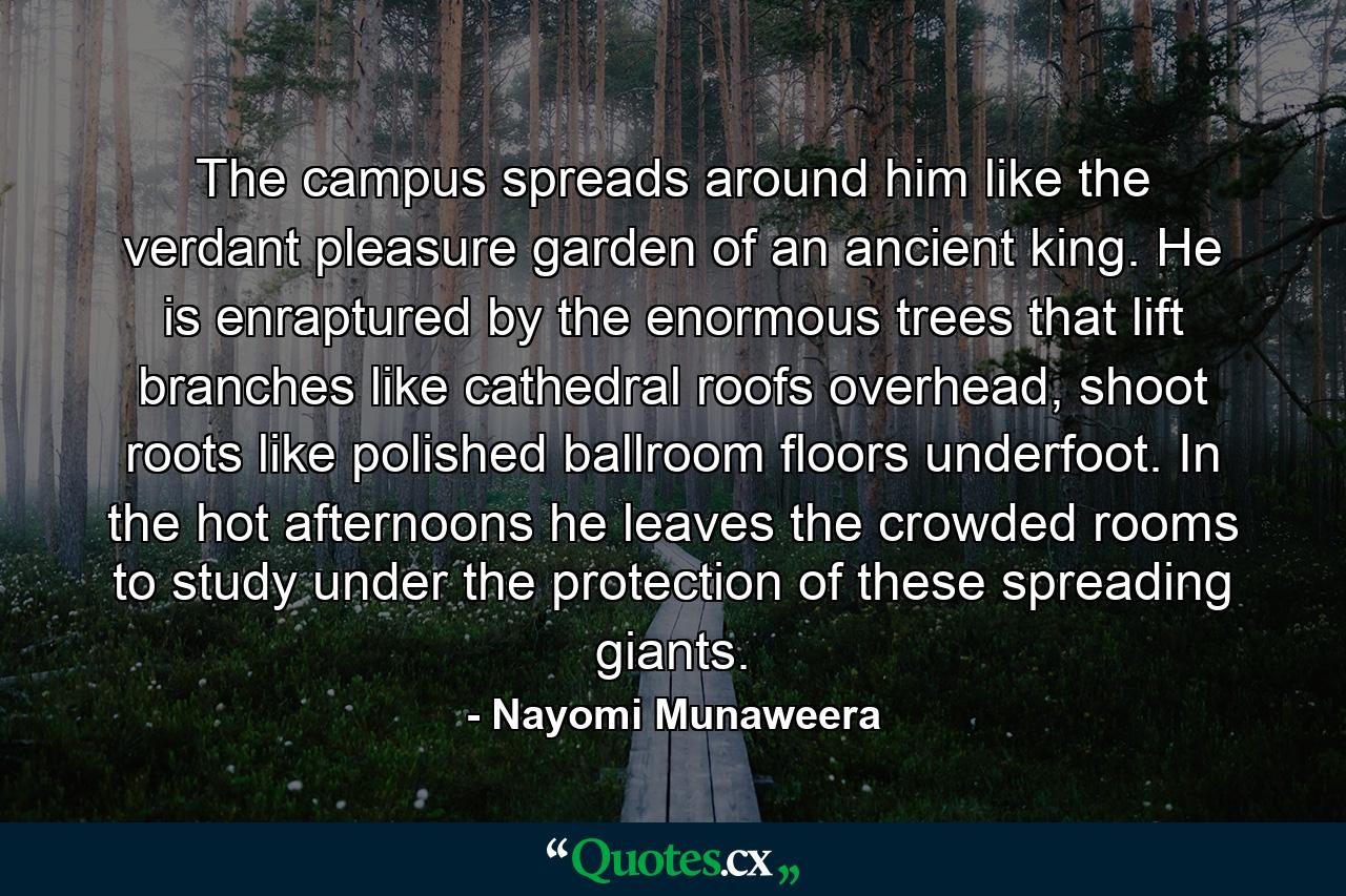 The campus spreads around him like the verdant pleasure garden of an ancient king. He is enraptured by the enormous trees that lift branches like cathedral roofs overhead, shoot roots like polished ballroom floors underfoot. In the hot afternoons he leaves the crowded rooms to study under the protection of these spreading giants. - Quote by Nayomi Munaweera