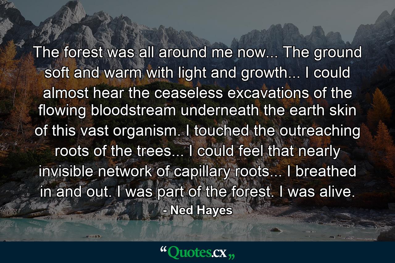 The forest was all around me now... The ground soft and warm with light and growth... I could almost hear the ceaseless excavations of the flowing bloodstream underneath the earth skin of this vast organism. I touched the outreaching roots of the trees... I could feel that nearly invisible network of capillary roots... I breathed in and out. I was part of the forest. I was alive. - Quote by Ned Hayes