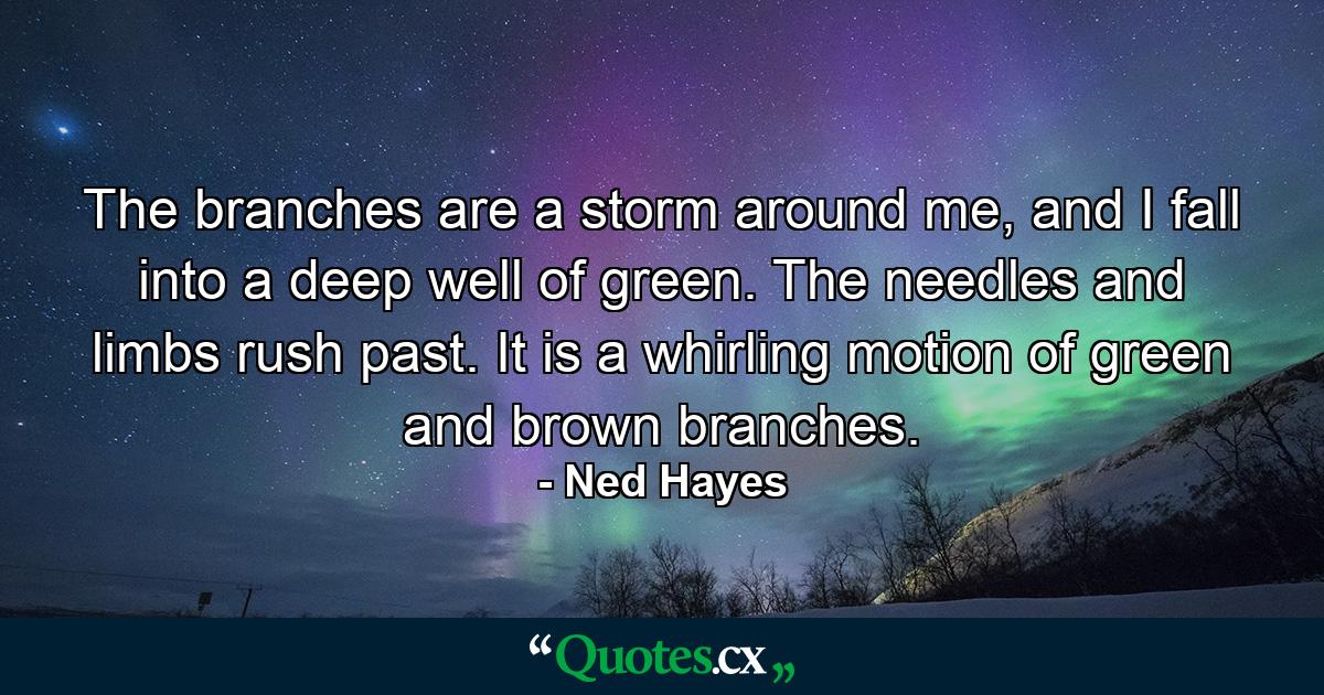 The branches are a storm around me, and I fall into a deep well of green. The needles and limbs rush past. It is a whirling motion of green and brown branches. - Quote by Ned Hayes