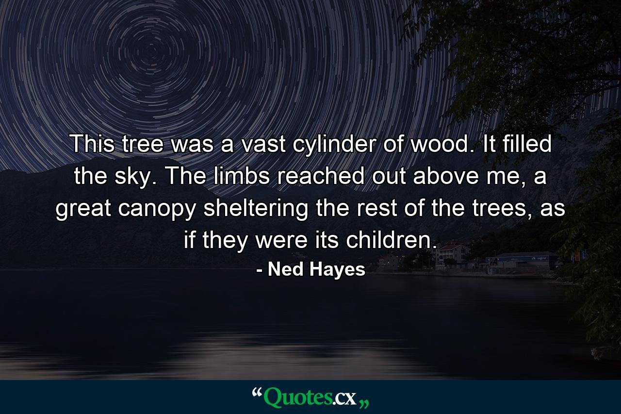 This tree was a vast cylinder of wood. It filled the sky. The limbs reached out above me, a great canopy sheltering the rest of the trees, as if they were its children. - Quote by Ned Hayes