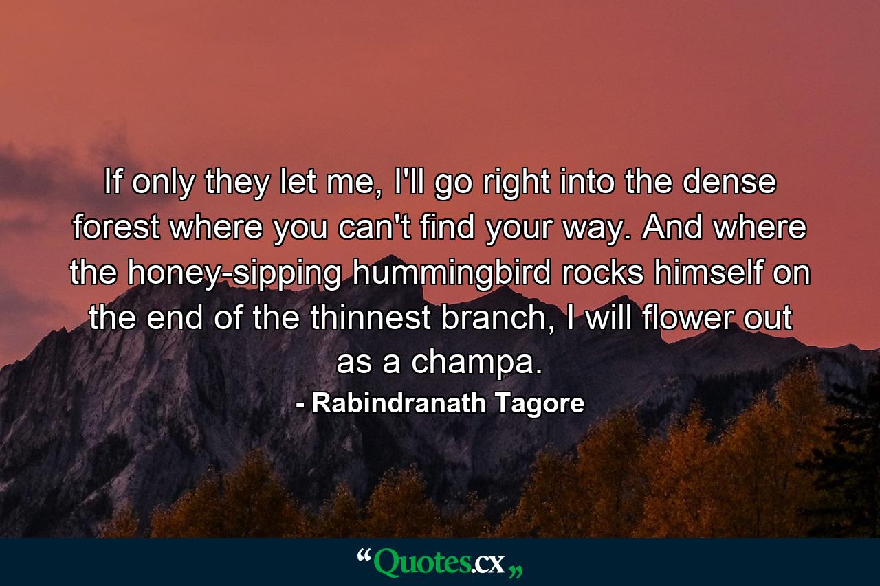 If only they let me, I'll go right into the dense forest where you can't find your way. And where the honey-sipping hummingbird rocks himself on the end of the thinnest branch, I will flower out as a champa. - Quote by Rabindranath Tagore