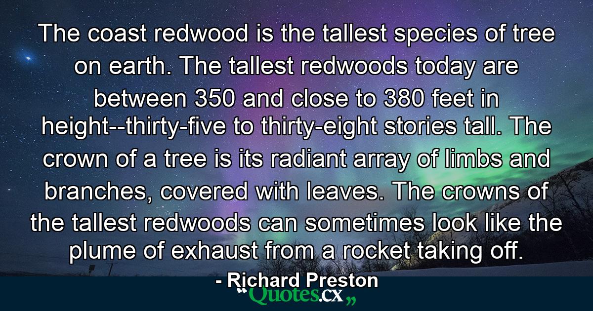 The coast redwood is the tallest species of tree on earth. The tallest redwoods today are between 350 and close to 380 feet in height--thirty-five to thirty-eight stories tall. The crown of a tree is its radiant array of limbs and branches, covered with leaves. The crowns of the tallest redwoods can sometimes look like the plume of exhaust from a rocket taking off. - Quote by Richard Preston