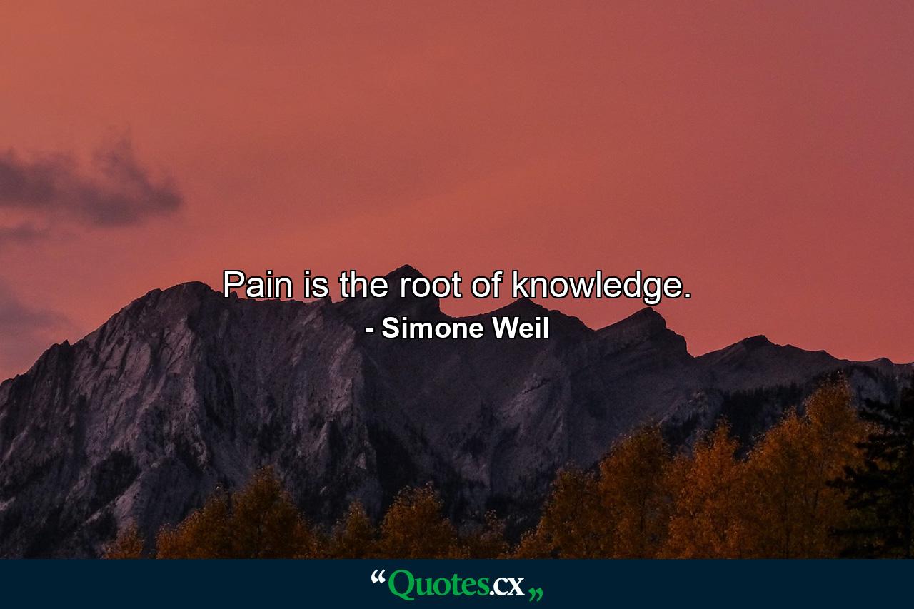 Pain is the root of knowledge. - Quote by Simone Weil