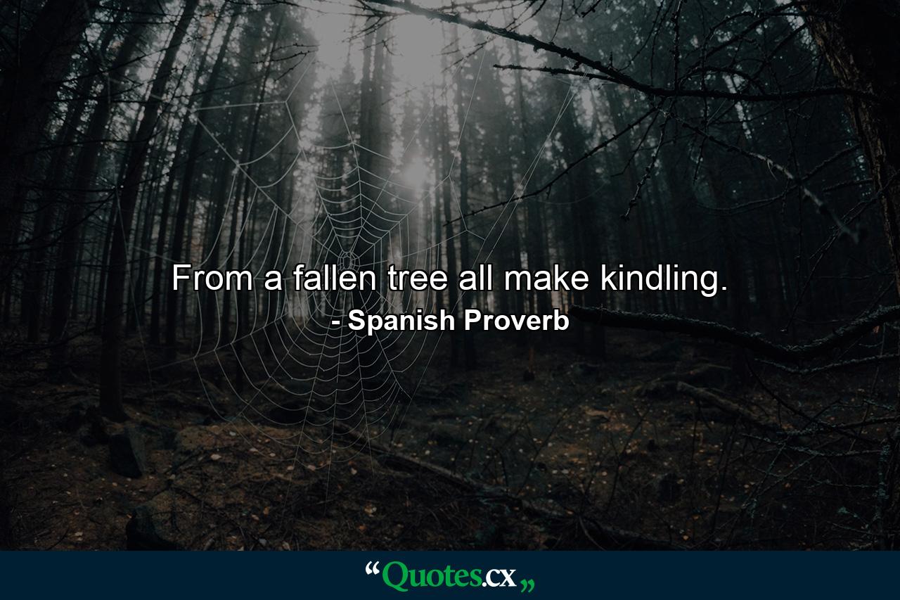 From a fallen tree  all make kindling. - Quote by Spanish Proverb