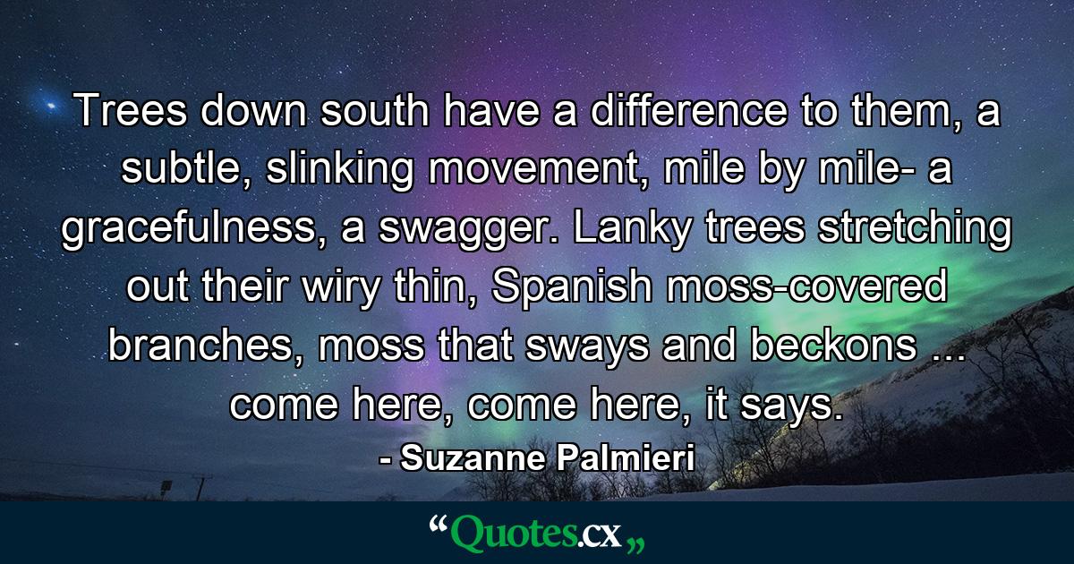 Trees down south have a difference to them, a subtle, slinking movement, mile by mile- a gracefulness, a swagger. Lanky trees stretching out their wiry thin, Spanish moss-covered branches, moss that sways and beckons ... come here, come here, it says. - Quote by Suzanne Palmieri