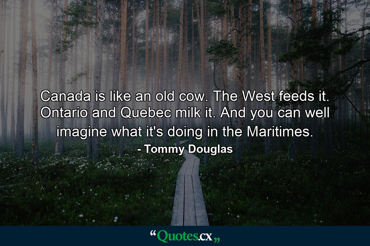 Canada is like an old cow. The West feeds it. Ontario and Quebec milk it. And you can well imagine what it's doing in the Maritimes. - Quote by Tommy Douglas