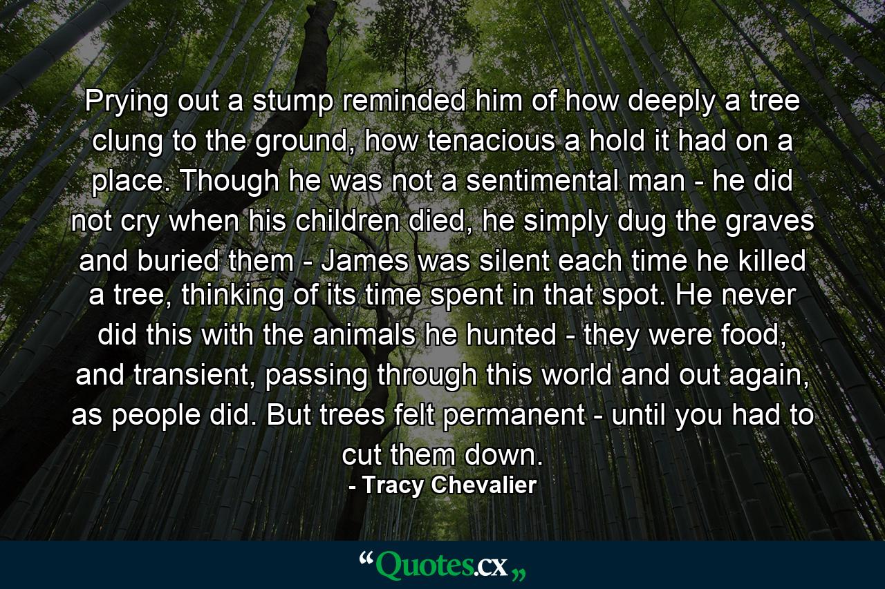 Prying out a stump reminded him of how deeply a tree clung to the ground, how tenacious a hold it had on a place. Though he was not a sentimental man - he did not cry when his children died, he simply dug the graves and buried them - James was silent each time he killed a tree, thinking of its time spent in that spot. He never did this with the animals he hunted - they were food, and transient, passing through this world and out again, as people did. But trees felt permanent - until you had to cut them down. - Quote by Tracy Chevalier