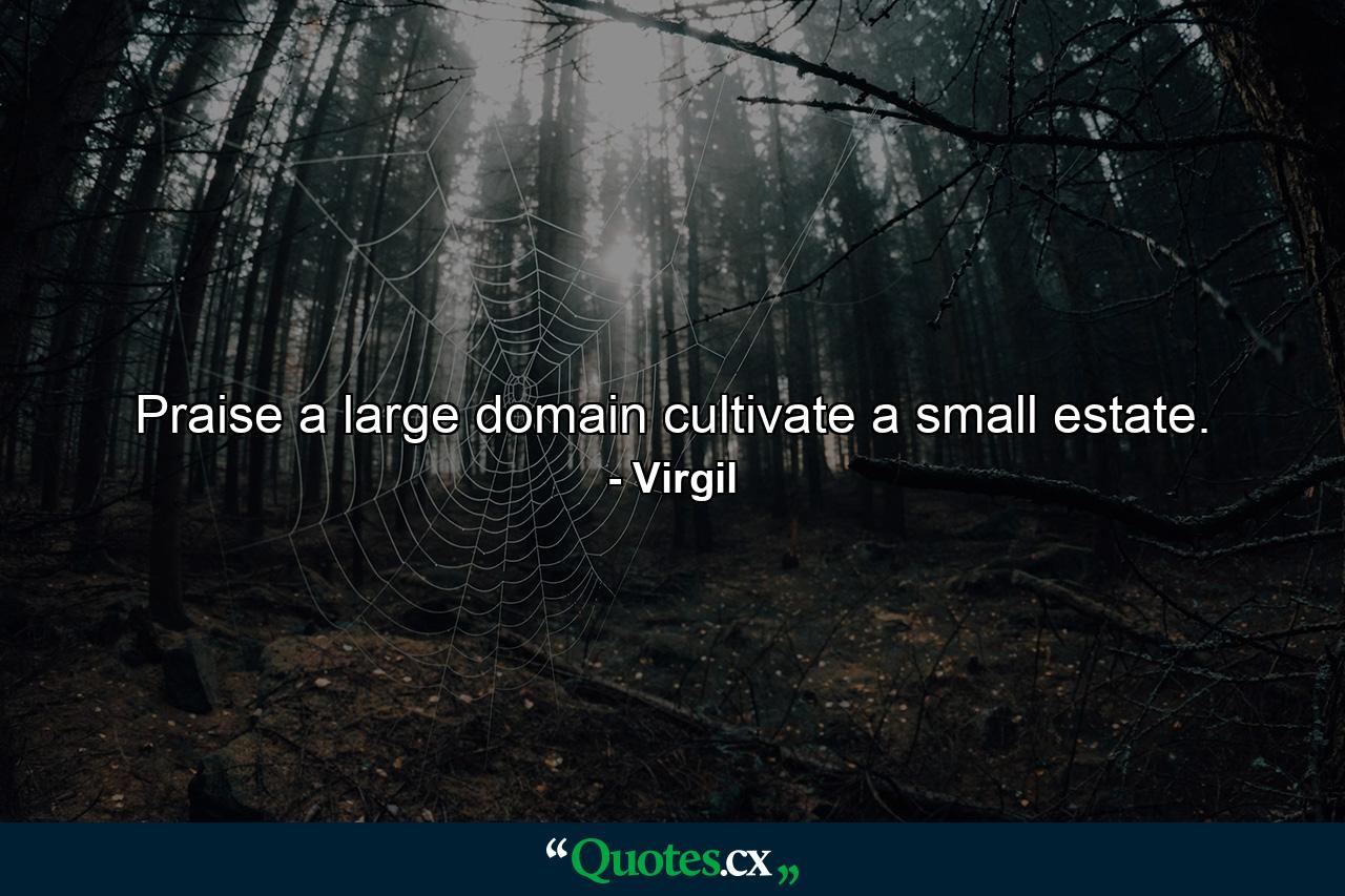 Praise a large domain  cultivate a small estate. - Quote by Virgil