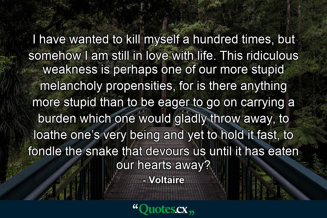 I have wanted to kill myself a hundred times, but somehow I am still in love with life. This ridiculous weakness is perhaps one of our more stupid melancholy propensities, for is there anything more stupid than to be eager to go on carrying a burden which one would gladly throw away, to loathe one’s very being and yet to hold it fast, to fondle the snake that devours us until it has eaten our hearts away? - Quote by Voltaire