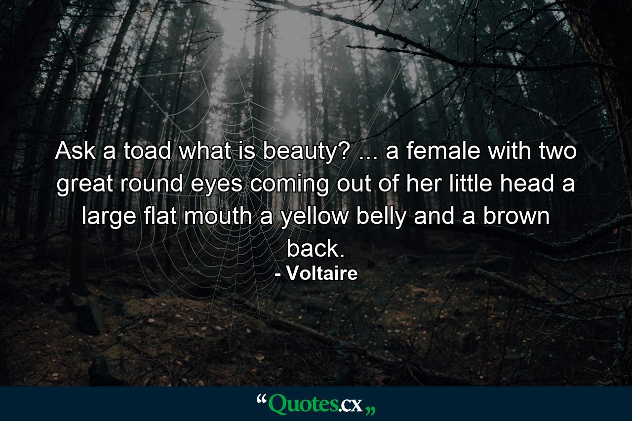 Ask a toad what is beauty? ... a female with two great round eyes coming out of her little head  a large flat mouth  a yellow belly and a brown back. - Quote by Voltaire