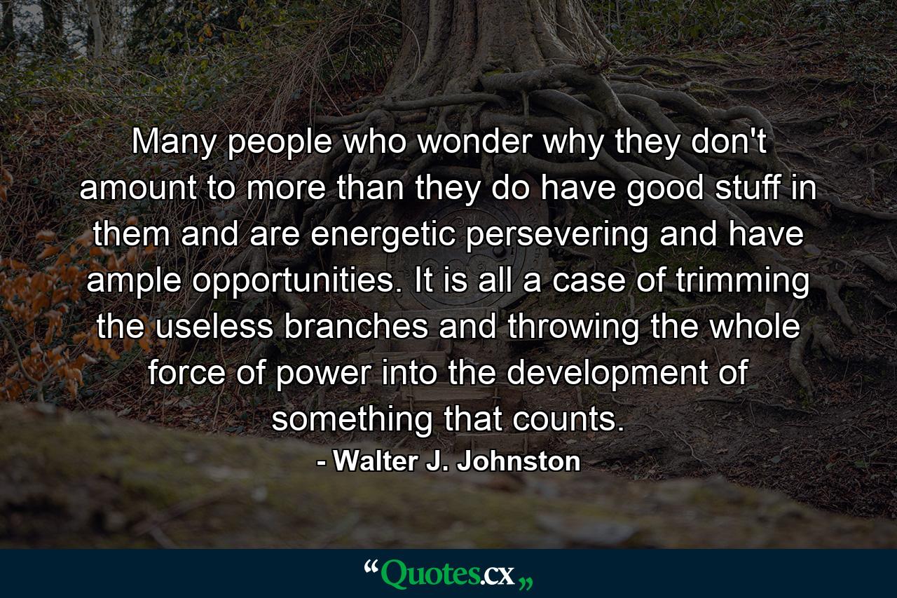 Many people who wonder why they don't amount to more than they do have good stuff in them  and are energetic  persevering  and have ample opportunities. It is all a case of trimming the useless branches and throwing the whole force of power into the development of something that counts. - Quote by Walter J. Johnston