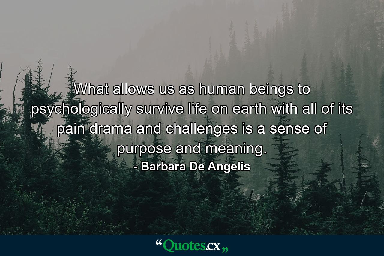 What allows us  as human beings  to psychologically survive life on earth  with all of its pain  drama  and challenges  is a sense of purpose and meaning. - Quote by Barbara De Angelis