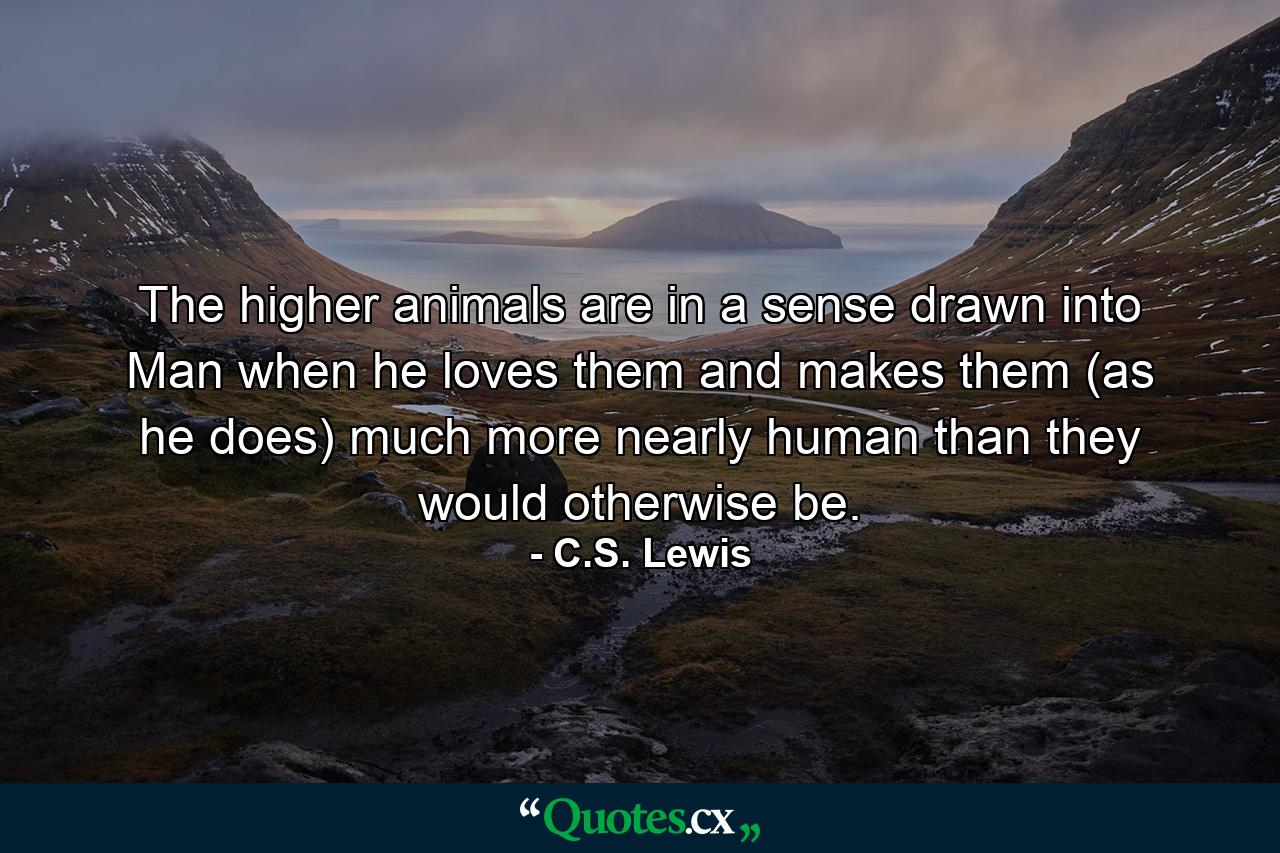 The higher animals are in a sense drawn into Man when he loves them and makes them (as he does) much more nearly human than they would otherwise be. - Quote by C.S. Lewis