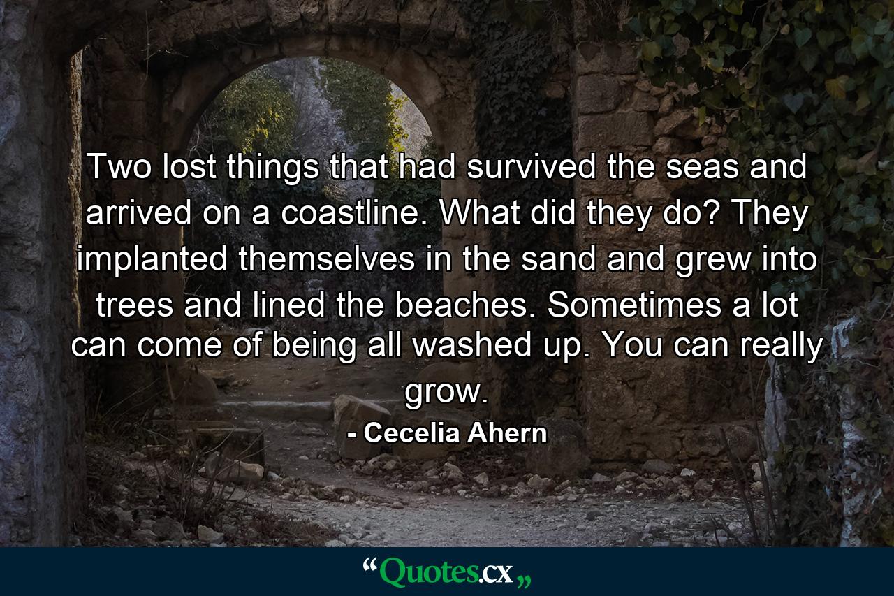 Two lost things that had survived the seas and arrived on a coastline. What did they do? They implanted themselves in the sand and grew into trees and lined the beaches. Sometimes a lot can come of being all washed up. You can really grow. - Quote by Cecelia Ahern