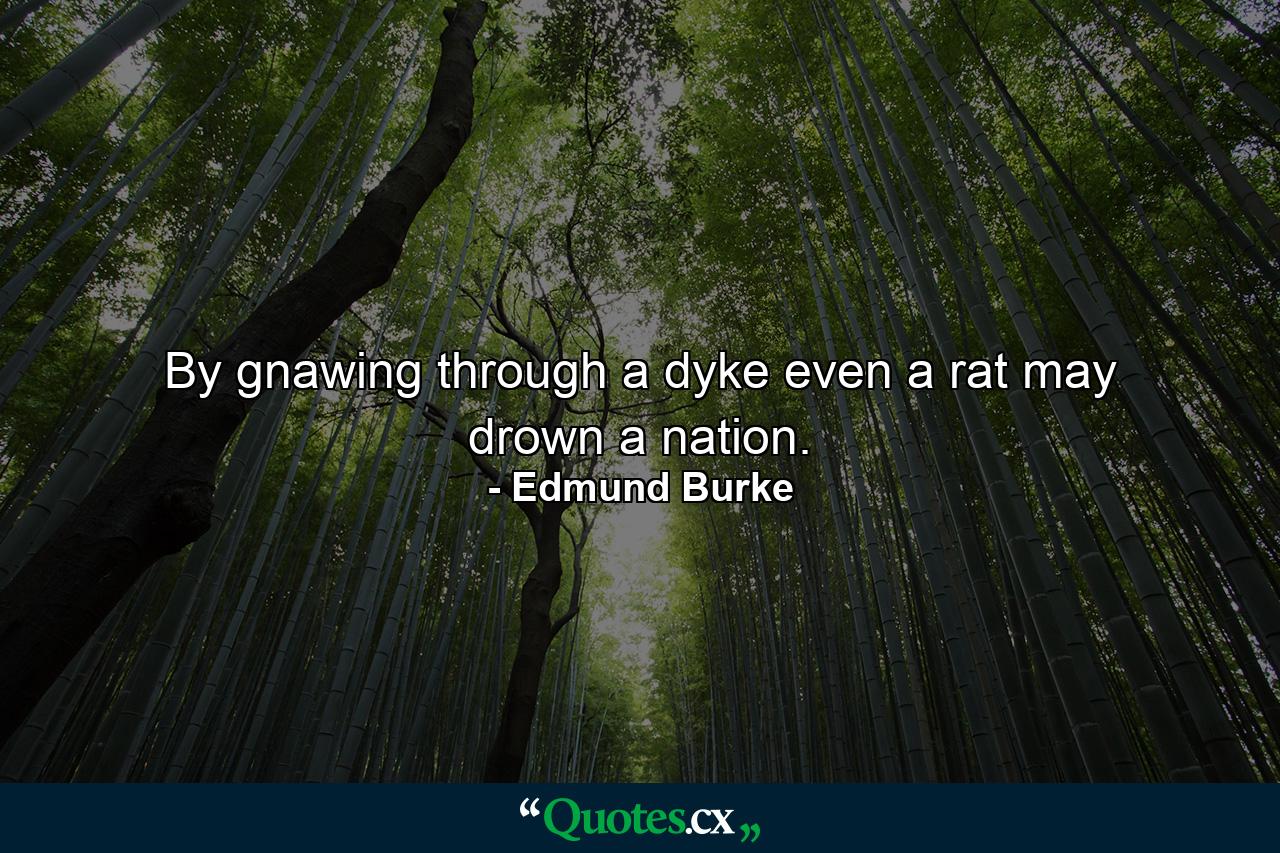 By gnawing through a dyke  even a rat may drown a nation. - Quote by Edmund Burke