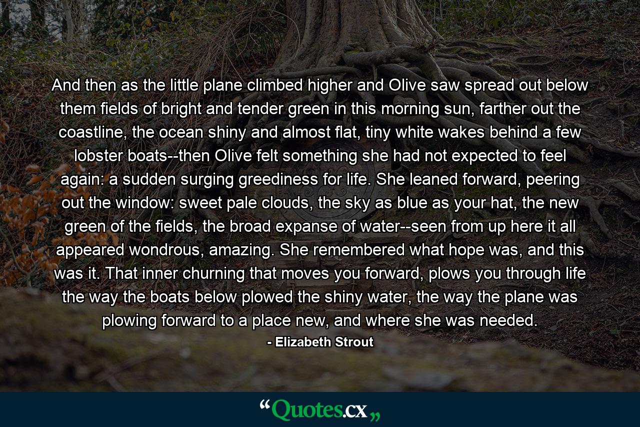 And then as the little plane climbed higher and Olive saw spread out below them fields of bright and tender green in this morning sun, farther out the coastline, the ocean shiny and almost flat, tiny white wakes behind a few lobster boats--then Olive felt something she had not expected to feel again: a sudden surging greediness for life. She leaned forward, peering out the window: sweet pale clouds, the sky as blue as your hat, the new green of the fields, the broad expanse of water--seen from up here it all appeared wondrous, amazing. She remembered what hope was, and this was it. That inner churning that moves you forward, plows you through life the way the boats below plowed the shiny water, the way the plane was plowing forward to a place new, and where she was needed. - Quote by Elizabeth Strout