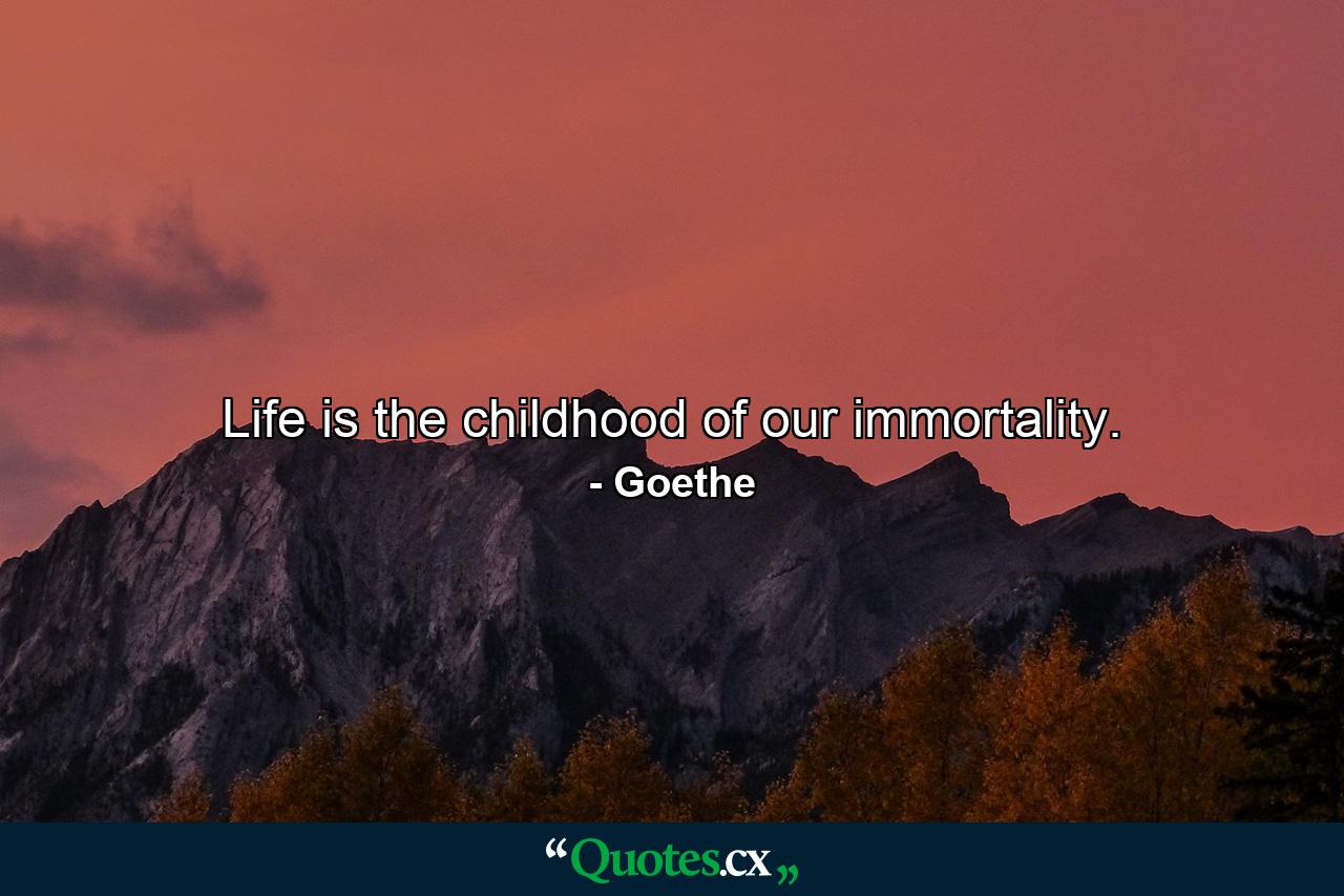 Life is the childhood of our immortality. - Quote by Goethe