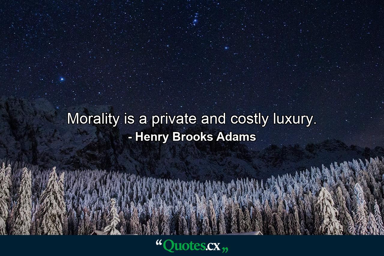 Morality is a private and costly luxury. - Quote by Henry Brooks Adams