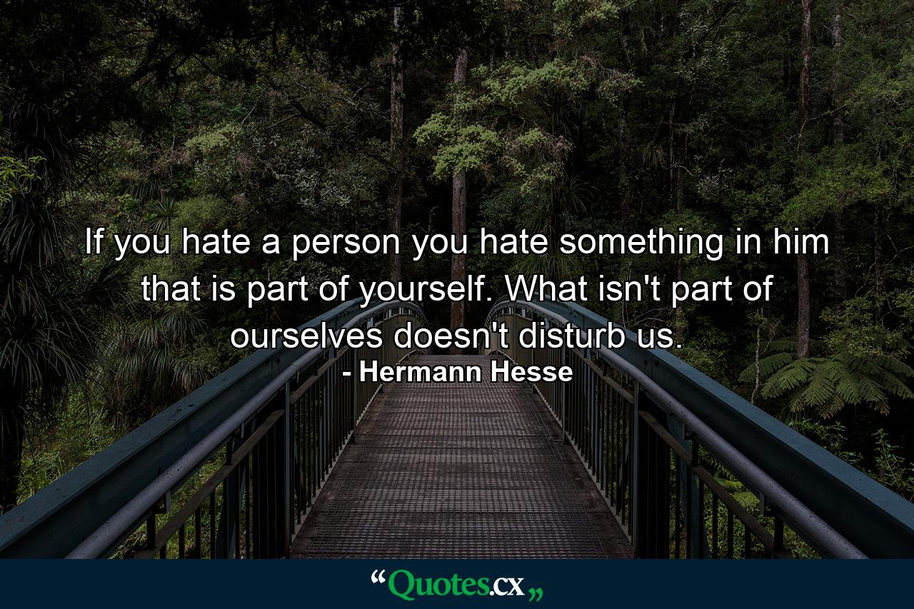 If you hate a person  you hate something in him that is part of yourself. What isn't part of ourselves doesn't disturb us. - Quote by Hermann Hesse